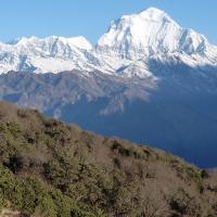 14 Days Happy Himalaya